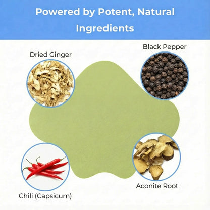 Sciatica Back Pain Relief Patches